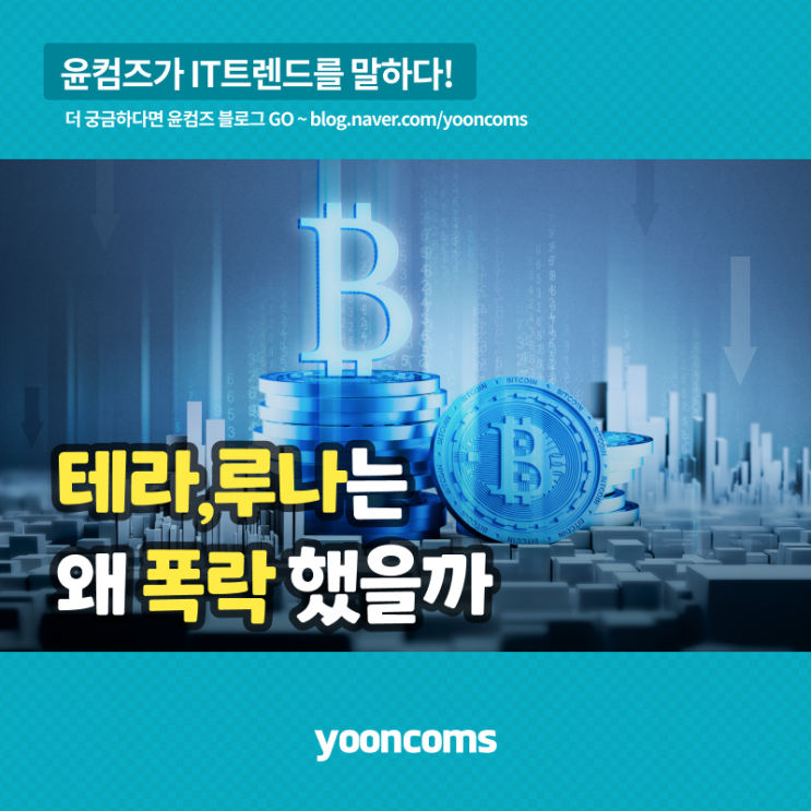  테라, 루나는 왜 폭락했을까?