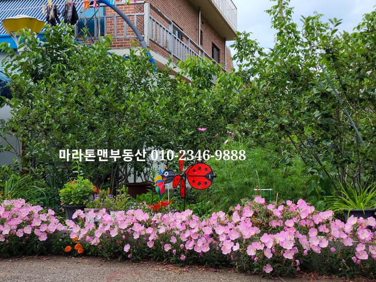  화성시 봉담읍 하가등리 전원주택 단독주택_예쁘고 깨끗해요, 텃밭은 덤