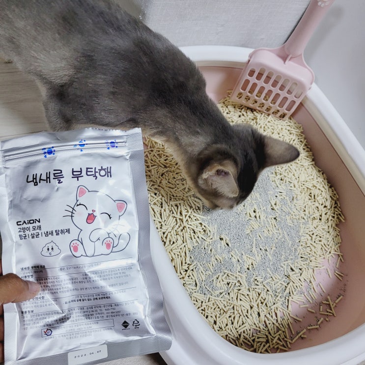  고양이모래탈취제 겟플렉스로 고양이배변냄새 없애기!