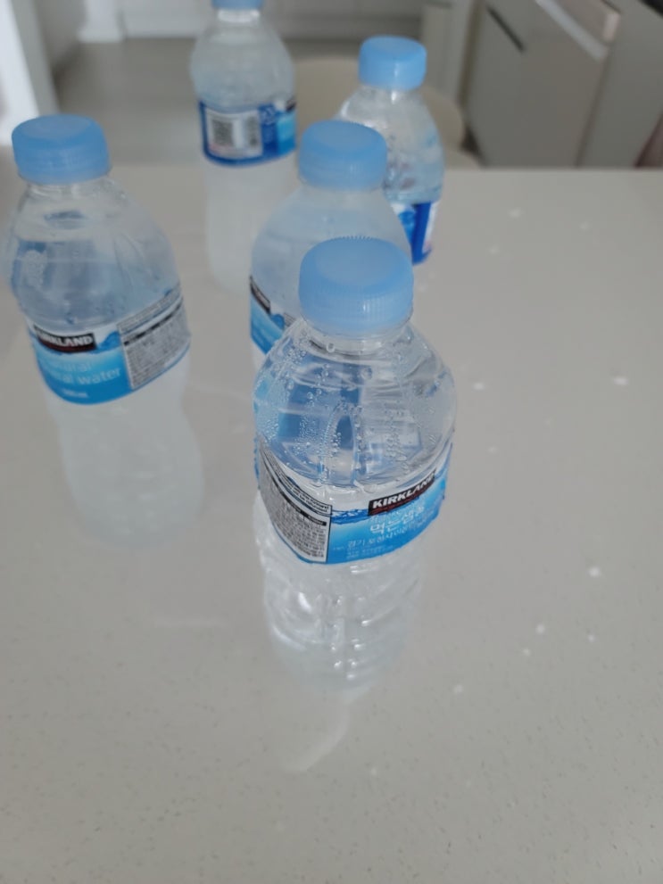  코스트코 온라인 새벽배송 아이스팩