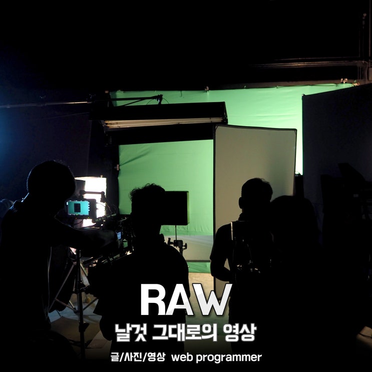 RAW, 날것 그대로의 영상 RAW, 날것 그대로의 영상