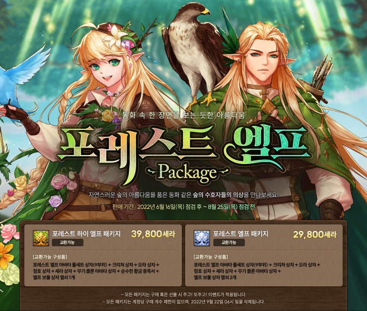[던파] 포레스트 엘프 패키지 정리