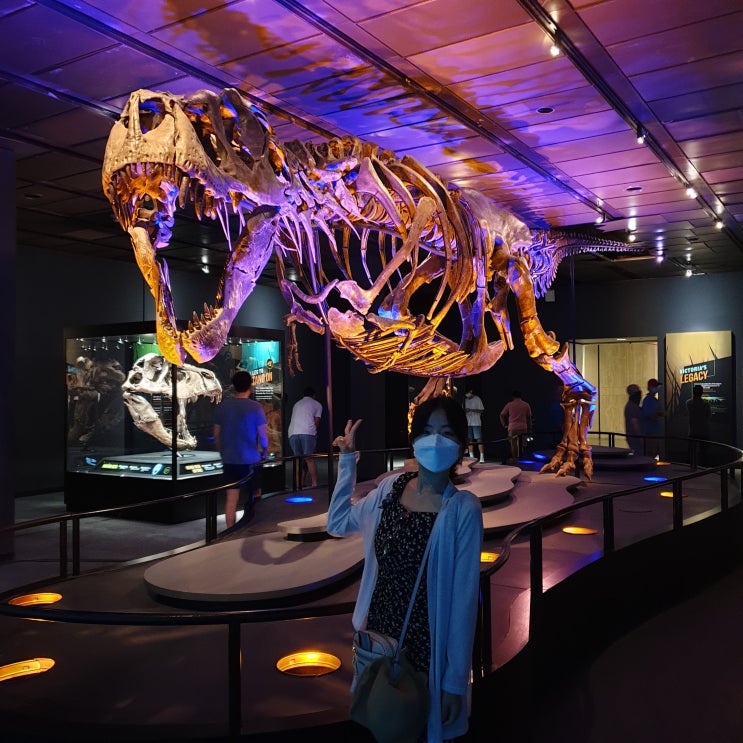  [Houston 여행] 휴스턴 자연사 박물관 Houston Museum of Natural Science