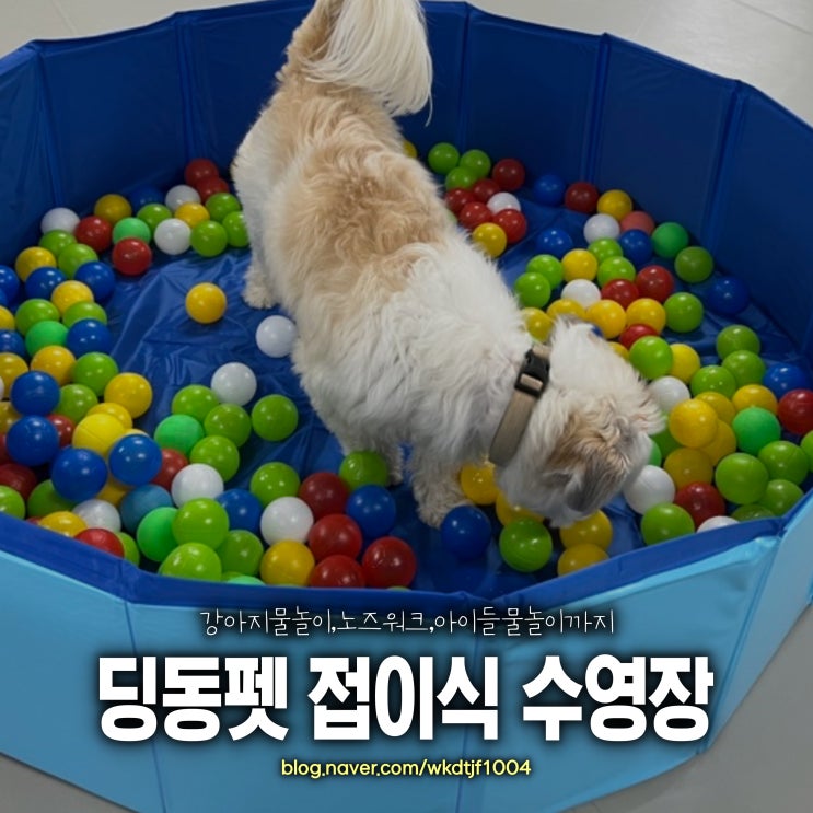  딩동펫 반려동물 접이식 수영장, 강아지 노즈워크용, 아기물놀이용으로도 딱 좋아