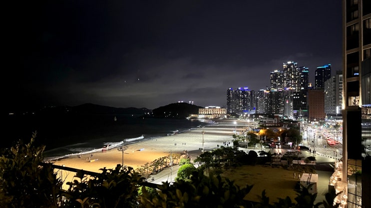  [해운대] 파라다이스호텔 _휴식. 일상