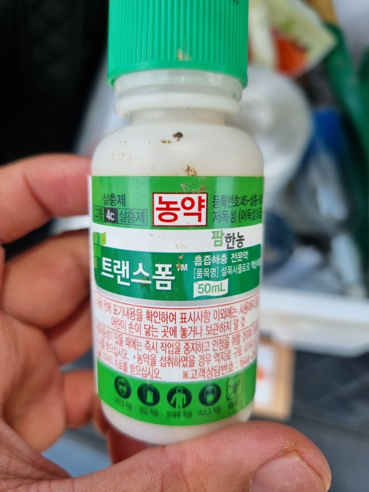 주말농장 살충제(진딧물)농약 치는법 당근파종 주말농장 살충제(진딧물)농약 치는법 당근파종