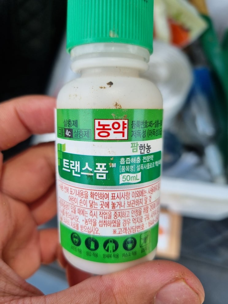 주말농장 살충제(진딧물)농약 치는법 당근파종