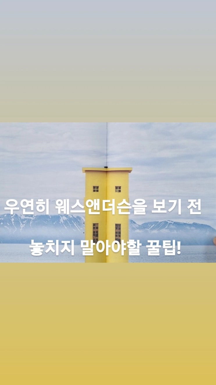 오늘의 수영장이 공연장으로! 공간은 계속 변화한다! 우연히 웨스앤더슨 #인테리어배우기 #단독주택리모델링 #전시회추천