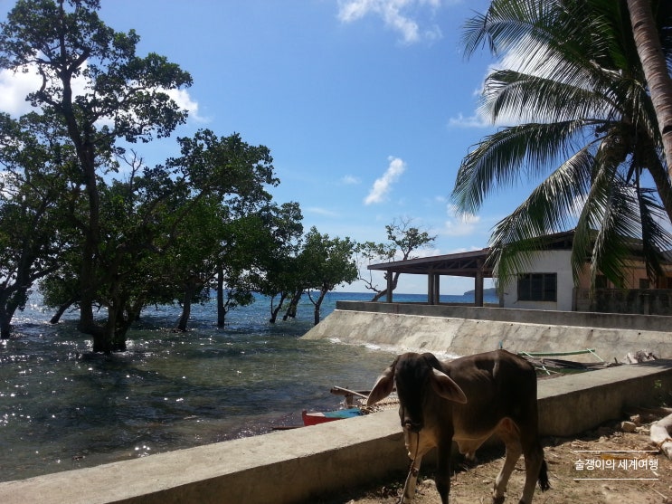 필리핀. 마녀의 섬 시키호르(Siquijor). 세부에서 출발, 더마겟(Dumaguete)을 거쳐서. 필리핀. 마녀의 섬 시키호르(Siquijor). 세부에서 출발, 더마겟(Dumaguete)을 거쳐서.