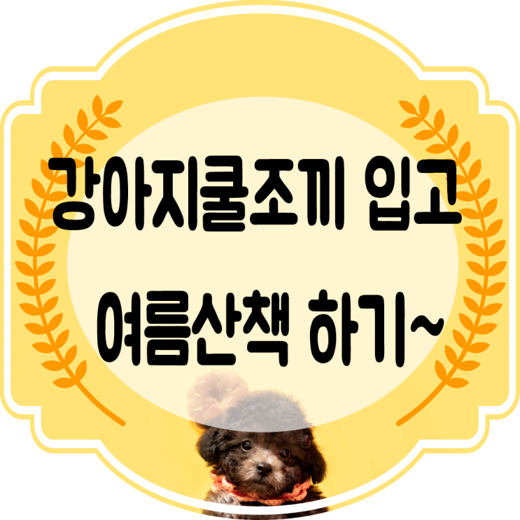  강아지쿨조끼 입고 강아지여름산책 하기~