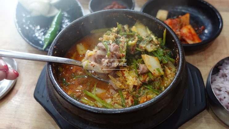  오리탕 맛집 제주 넝쿨하눌연동