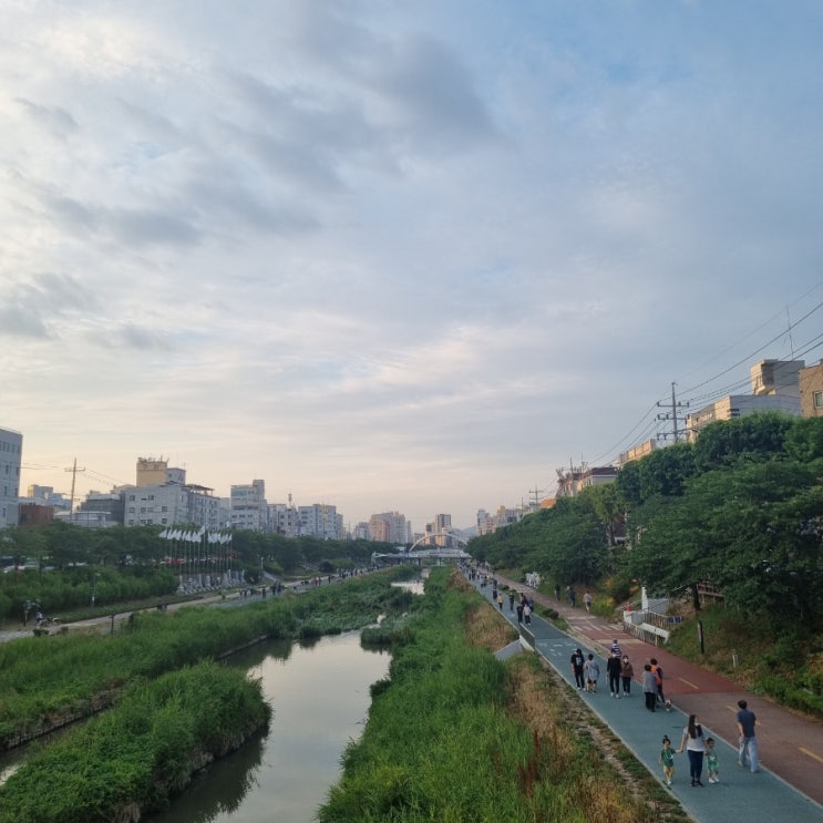  6월 둘째 주