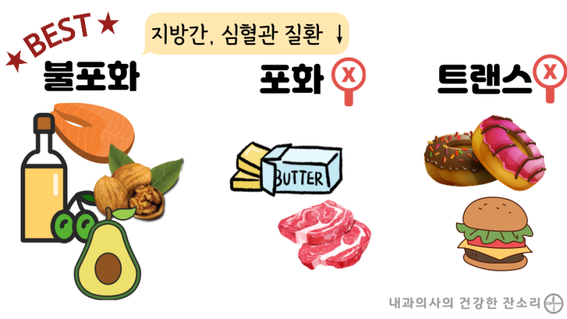 지방간에 좋은 음식 5가지와 지방간에 나쁜 음식 분류