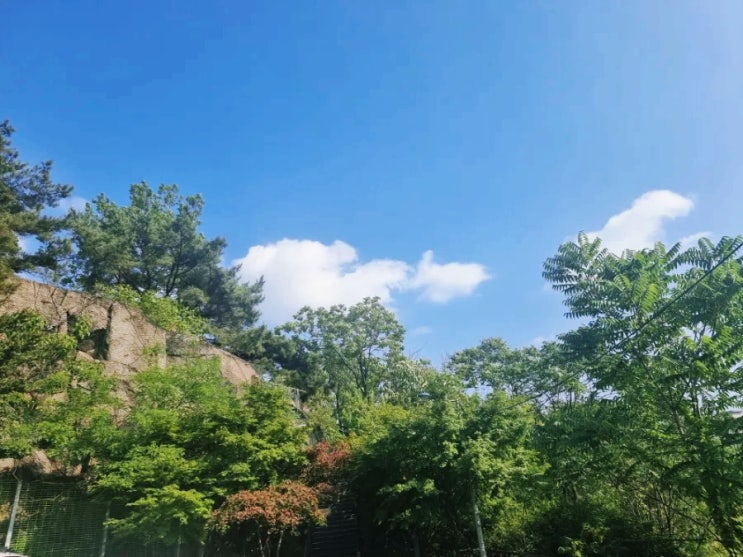  성북구 오동공원 월곡산 멋진뷰