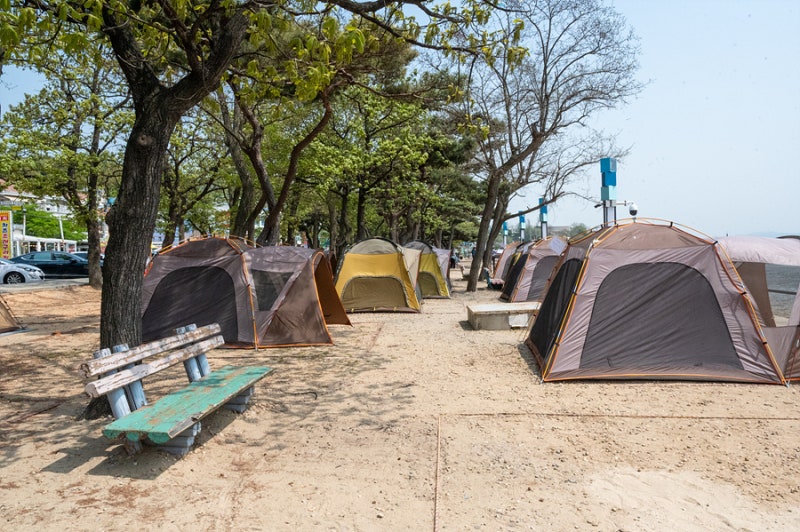 강화도 갈만한곳 동막해수욕장 놀거리 전등사 사찰 등