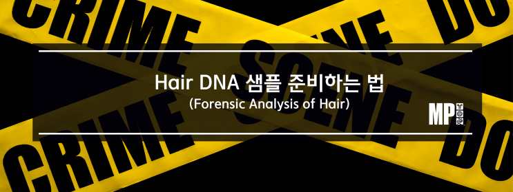 모발 DNA 추출을 위한 준비과정 (Forensic Analysis of Hair)