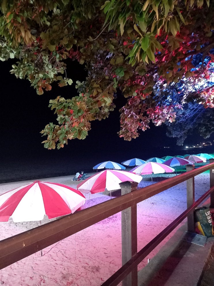 강화도 동막해변 동막해수욕장 캠핑 1박2일 후기 및 요금정보 강화도 동막해변 동막해수욕장 캠핑 1박2일 후기 및 요금정보