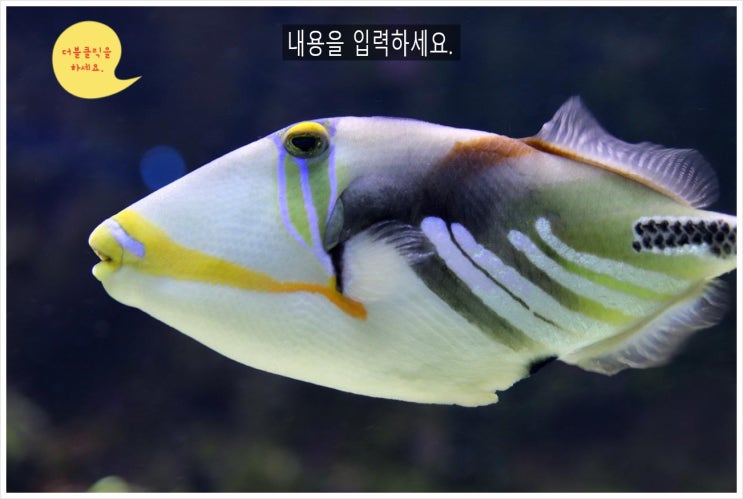  피카소를 찾아서