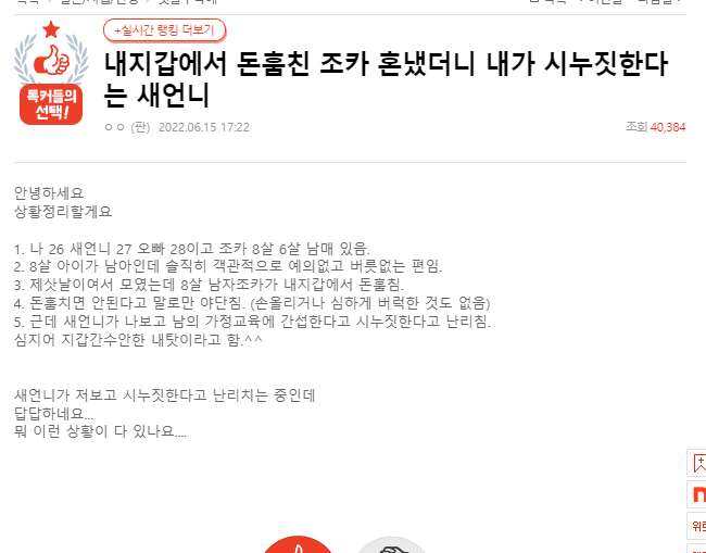  내지갑에서 돈훔친 조카 혼냈더니 내가 시누짓한다는 새언니