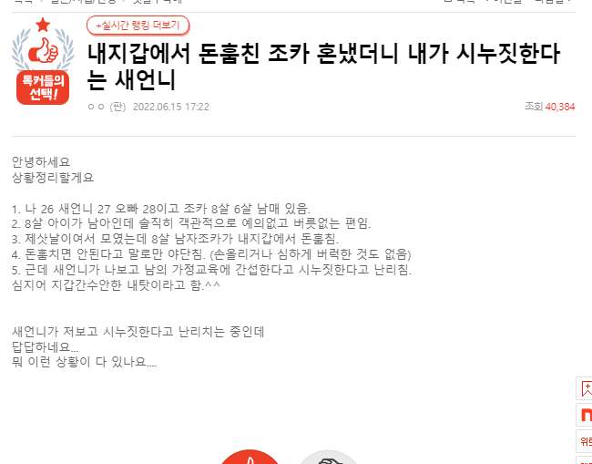 내지갑에서 돈훔친 조카 혼냈더니 내가 시누짓한다는 새언니