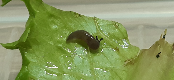  충남대 아싸의 주간 일기 챌린지 - 친구 근황