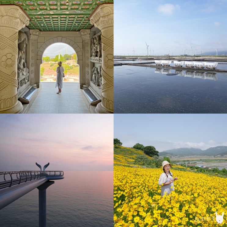 영광 가볼만한곳 백수해안도로 숲쟁이 꽃동산 등 영광 가볼만한곳 백수해안도로 숲쟁이 꽃동산 등
