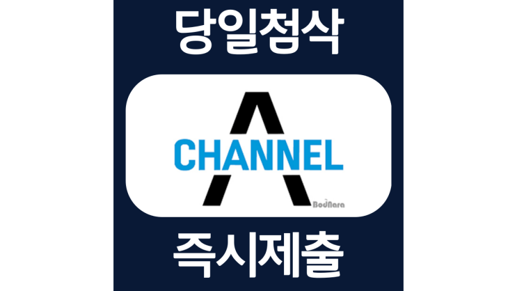 채널A 인턴 자소서항목 자기소개서 문항 작성방법 첨삭받기 채널A 인턴 자소서항목 자기소개서 문항 작성방법 첨삭받기