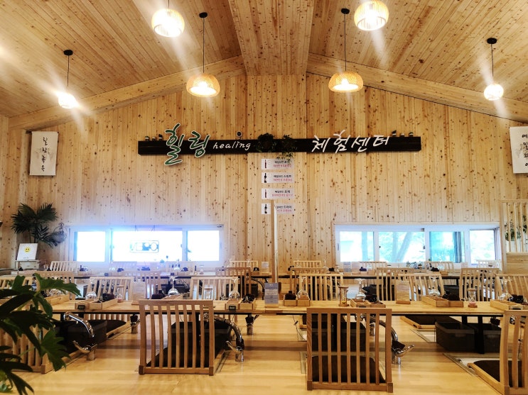  영월 가볼만한곳 와인족욕체험 예밀와인힐링센터