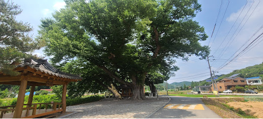  주간 일기 챌린지 6월 둘째 주 두 번째