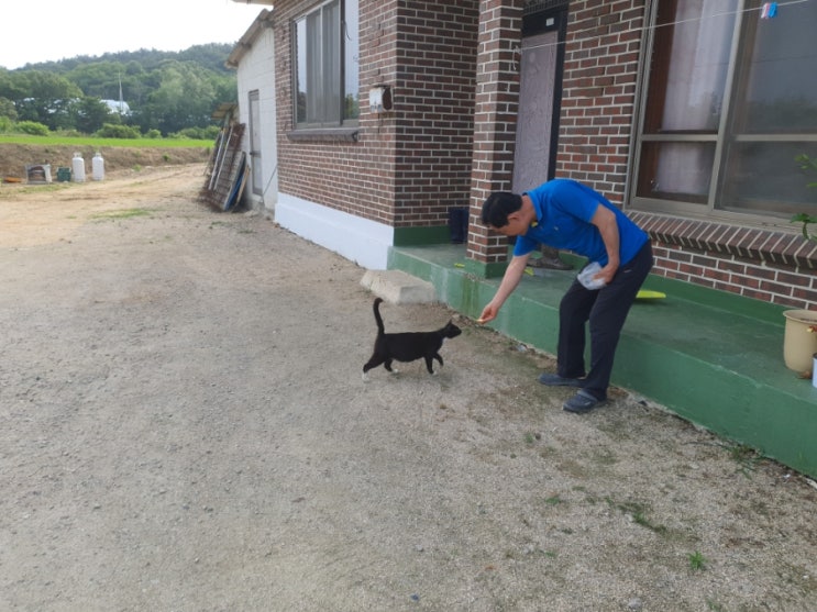 둘고양이 둘고양이