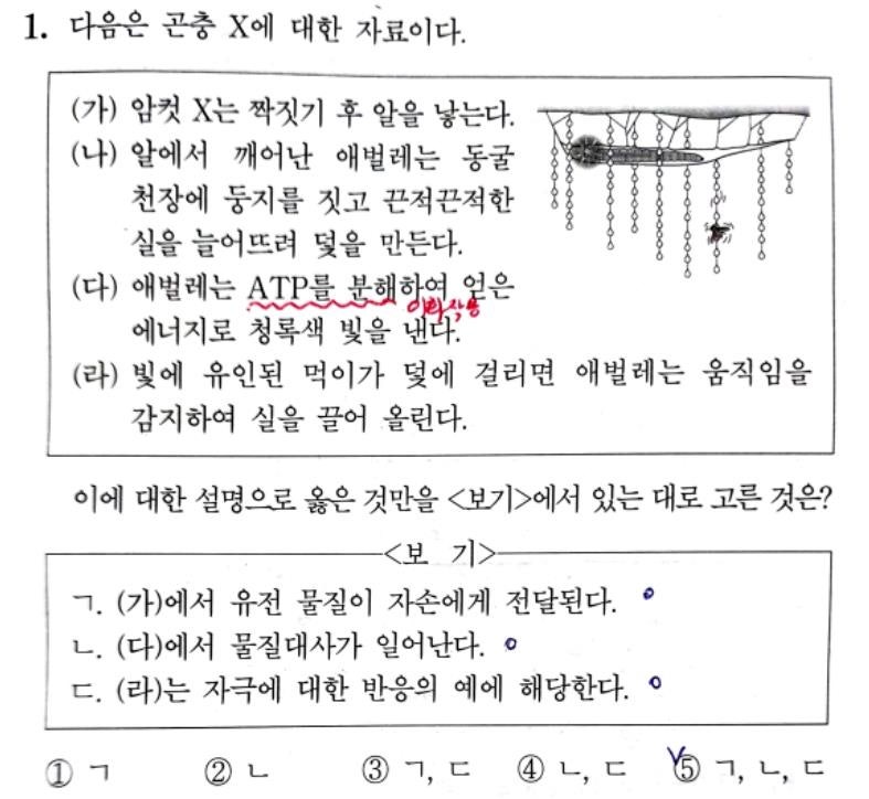 2023학년도 6월 모의평가 생명과학1 기출 문제 풀이(1~10번) / 다운로드 : 네이버 블로그 2023학년도 6월 모의평가 생명과학1 기출 문제 풀이(1~10번) / 다운로드 : 네이버 블로그