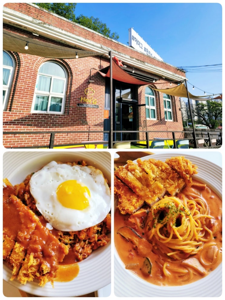  용인 애견 카페ㅣ헤이그 - 애견동반 식당 내돈내산