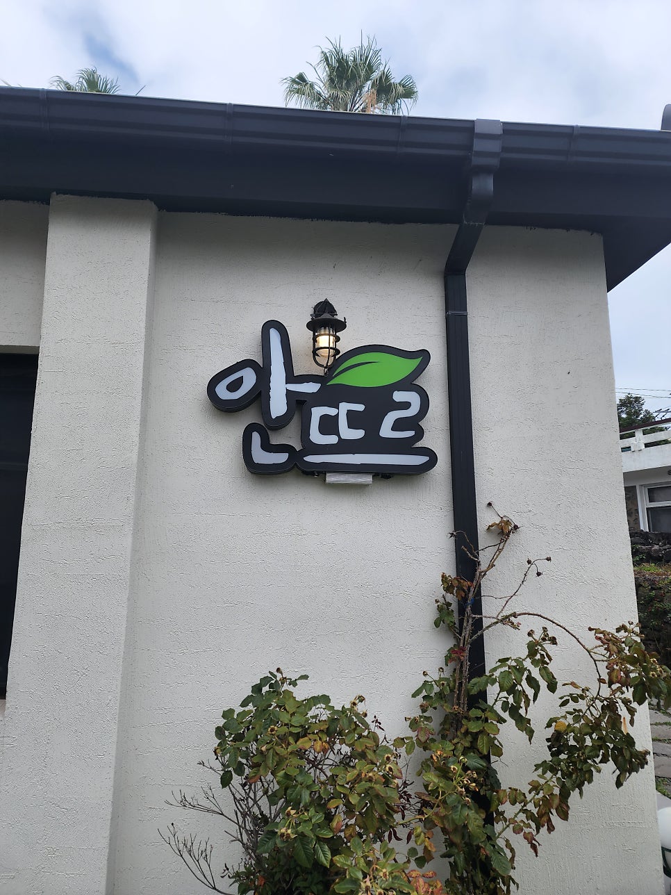 안뜨르 사진 2
