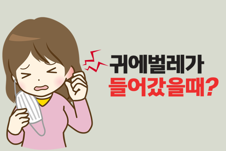 귀에 벌레 들어갔을때 응급처치법