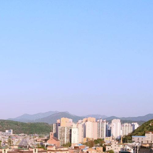 허브(식물)와 세균 및 바이러스(미생물) 그들은 왜 인간을 공격할까?