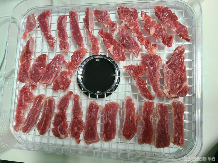  집에서 만든 강아지 최애 수제 소고기 간식