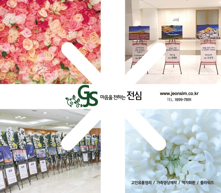  전심을 소개합니다