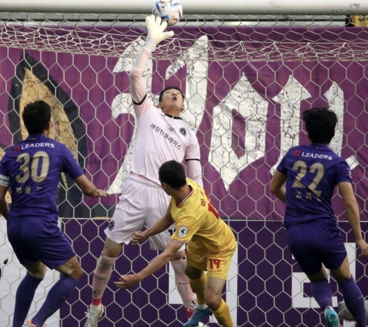 K리그2 국내 프로축구 19라운드 18일 FC안양 대전시티즌 K리그2 국내 프로축구 19라운드 18일 FC안양 대전시티즌