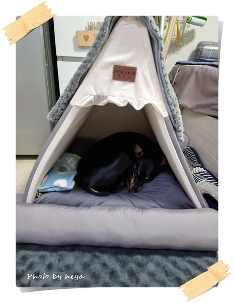  작년 10월 말에 구매한 꽃돌이 새집^^
