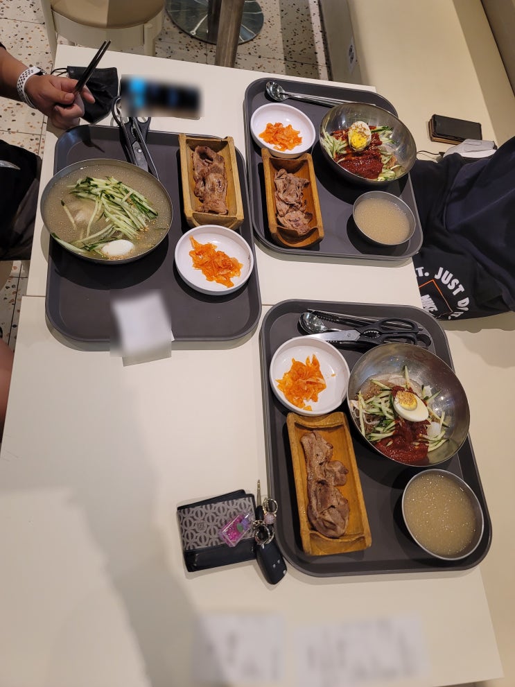 분당 점심 메뉴 살얼음 동동 띄운 냉면과 고기를 같이 먹을수 있는 팔당냉면 주차비 대박 비쌈주의 분당 점심 메뉴 살얼음 동동 띄운 냉면과 고기를 같이 먹을수 있는 팔당냉면 주차비 대박 비쌈주의