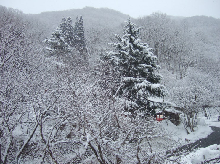  괴이한 진중전설