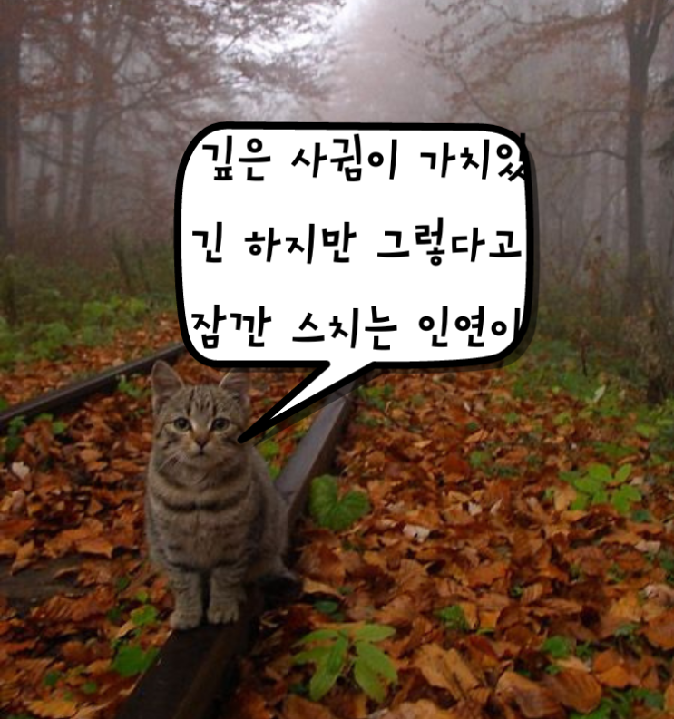  [생각 글귀] 3년전 방치된 블로그를 방문한 후....