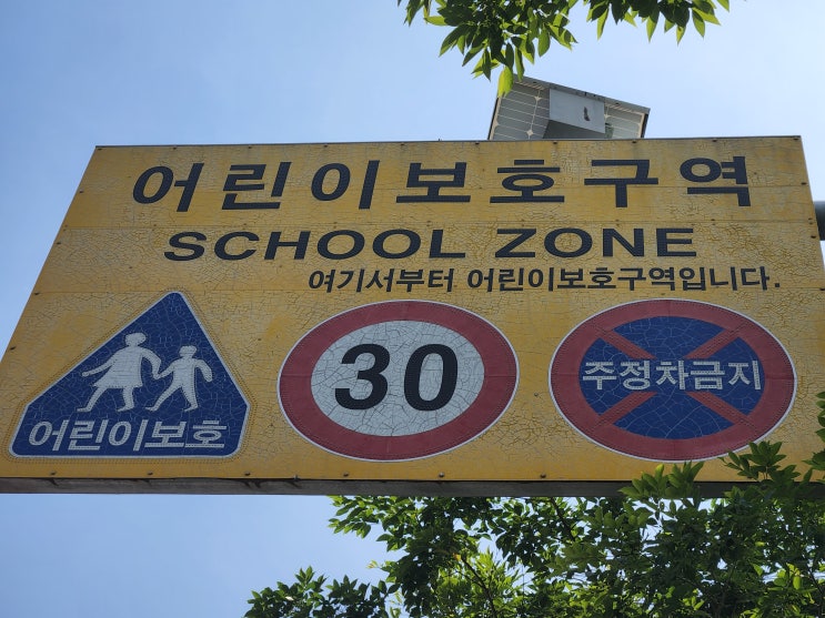  6월 두번째 블로그 주간일기 챌린지