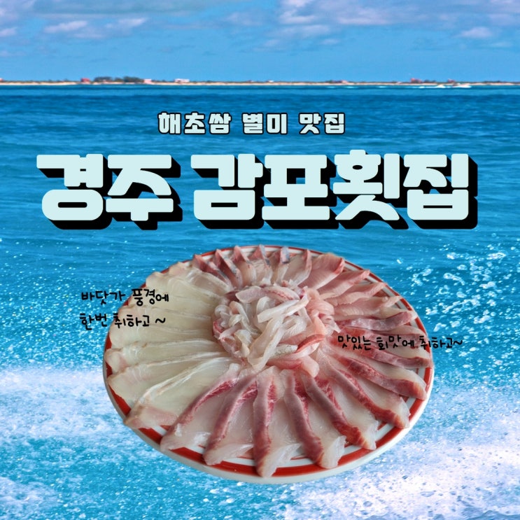  경주 감포횟집 맛도 좋은데 민박까지 가능해요