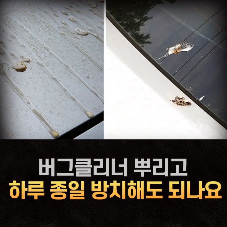  버그크리너 뿌리고 하루 종일 방치해도 되나요?