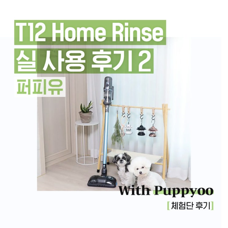 T12 Home Rinse 실제 사용 후기 모음.zip2