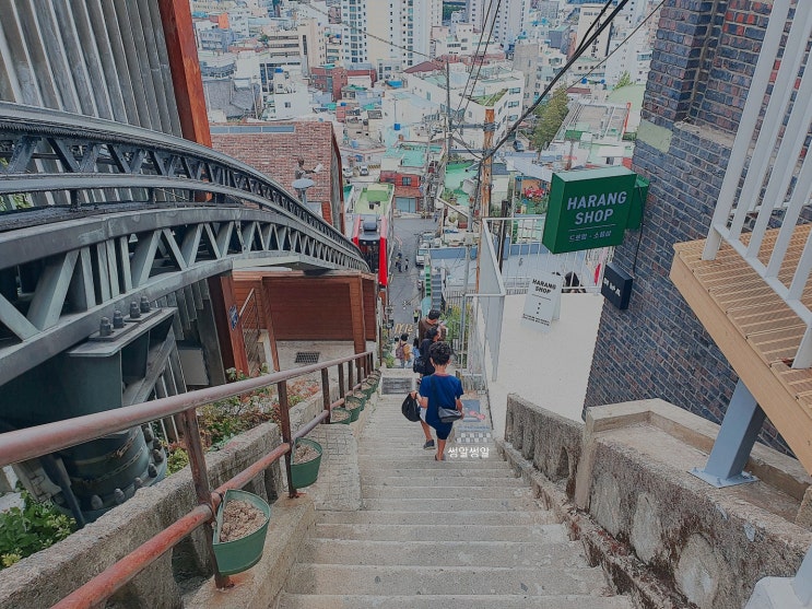 부산여행특공대 주말투어, 초량 이바구길 (feat, 맛집 명란브랜드연구소)