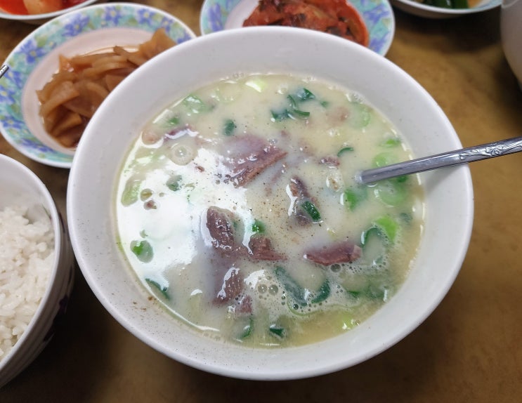  [리뷰] 제주도여행 곰탕맛집 l 재벌식당 추천 l 브이로그 내돈내산