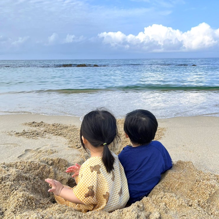 강릉 강문해변 방문예정이라면 w 숙소 스타벅스 카페 날씨