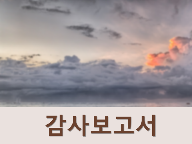  기업 감사보고서 활용하는 방법?
